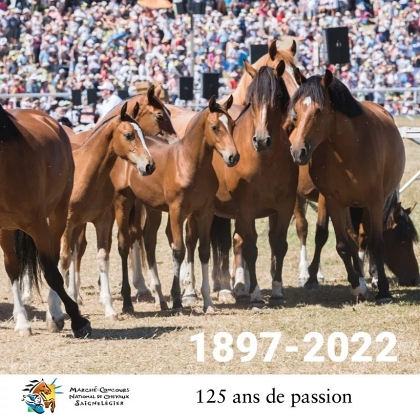 1897 - 2022 : 125 ans de passion